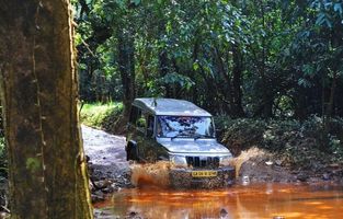 dudhsagar jeep safari