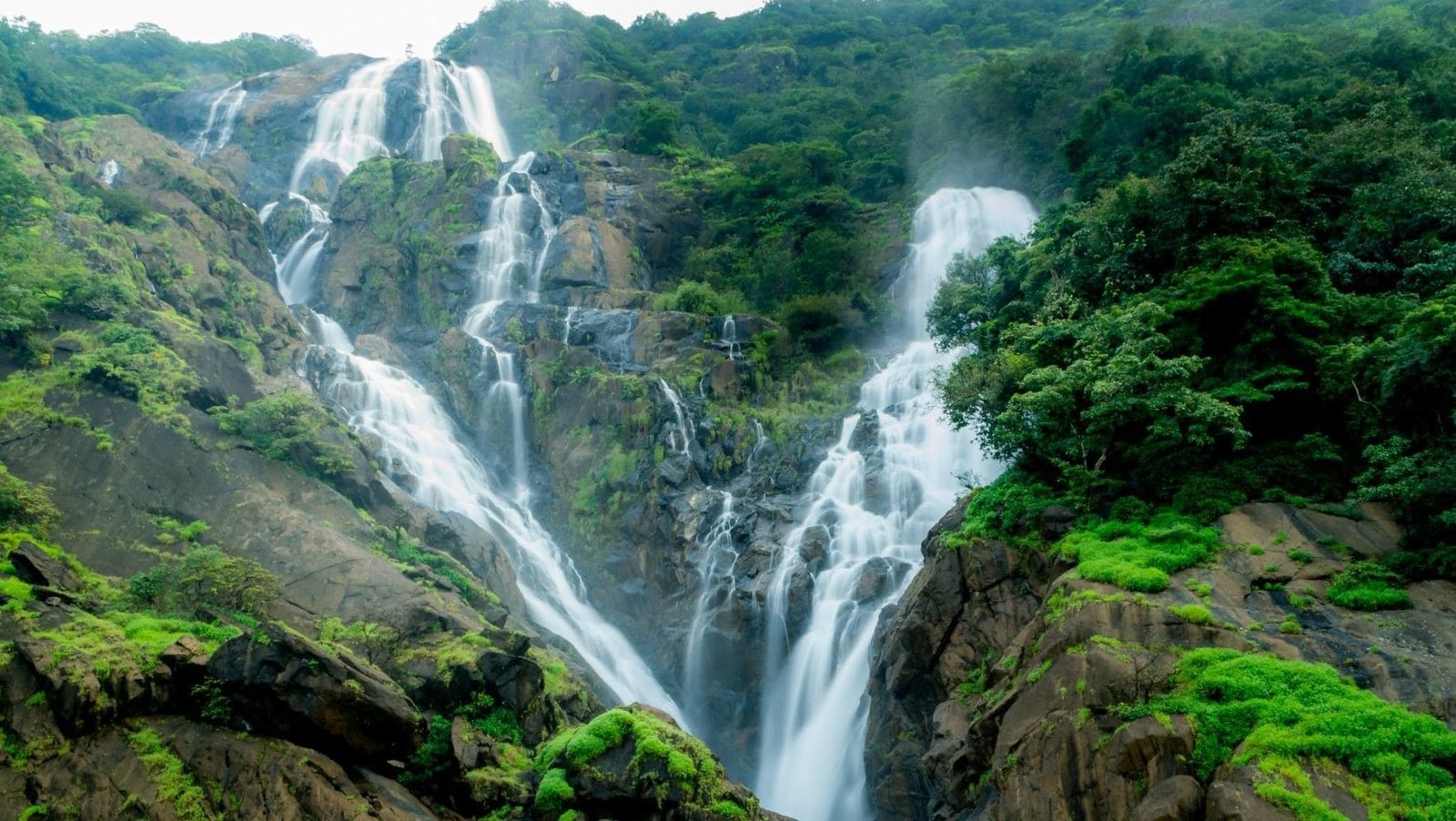Dudhsagar Falls Goa: The Ultimate Travel Guide (2026) – Best Time, Visitor Information, Trekking, Jeep Safari & Essential Tips