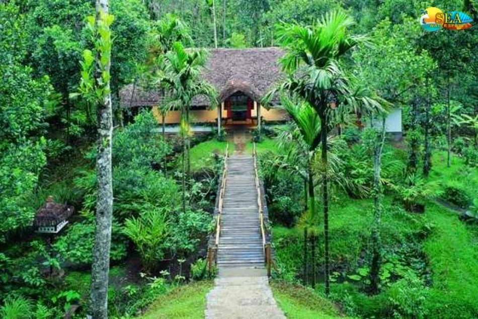 Spice Plantation Tour